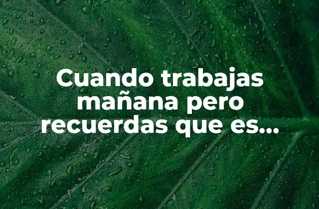 Cómo evitar programar actividades en días festivos