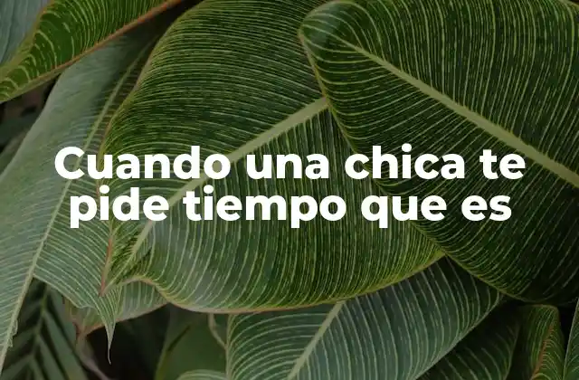 Cuando una Chica Te Pide Tiempo que es