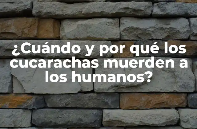 ¿cuándo y por Qué los Cucarachas Muerden a los Humanos?