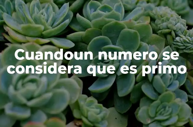 Cuandoun Numero Se Considera que es Primo