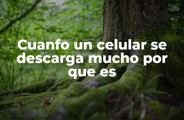 Cuanfo un Celular Se Descarga Mucho por que es