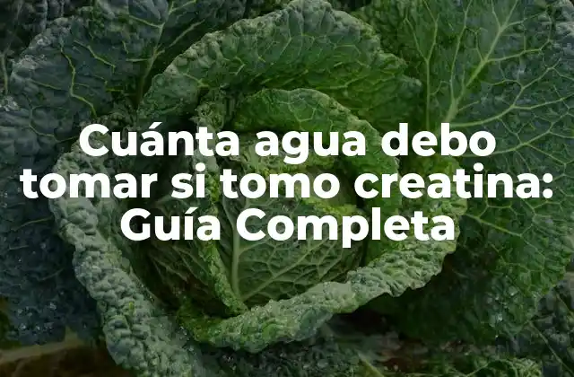 Cuánta Agua Debo Tomar Si Tomo Creatina: Guía Completa