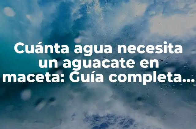 Cuánta Agua Necesita un Aguacate en Maceta: Guía Completa para Cuidar Tu Árbol