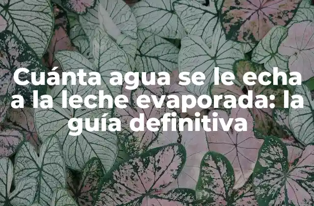 Cuánta Agua Se Le Echa a la Leche Evaporada: la Guía Definitiva