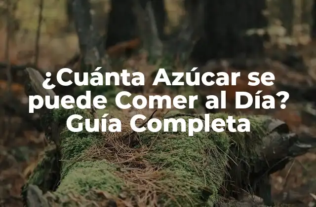 ¿cuánta Azúcar Se Puede Comer Al Día? Guía Completa 2 La Azúcar en la Dieta Moderna