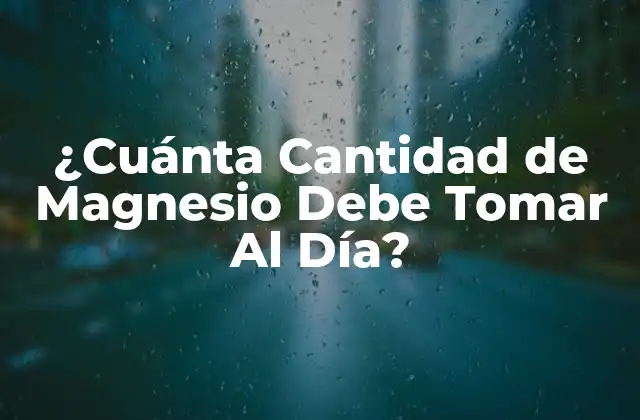 ¿cuánta Cantidad de Magnesio Debe Tomar Al Día?