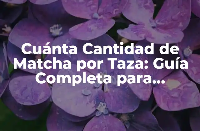 Cuánta Cantidad de Matcha por Taza: Guía Completa para Preparar el Té Perfecto