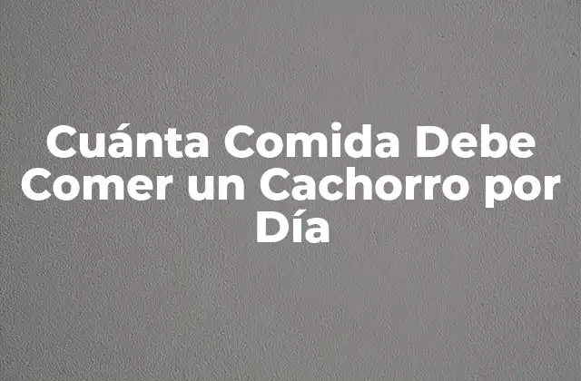 Cuánta Comida Debe Comer un Cachorro por Día