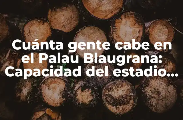 Cuánta Gente cabe en el Palau Blaugrana: Capacidad Del Estadio Del Fc Barcelona