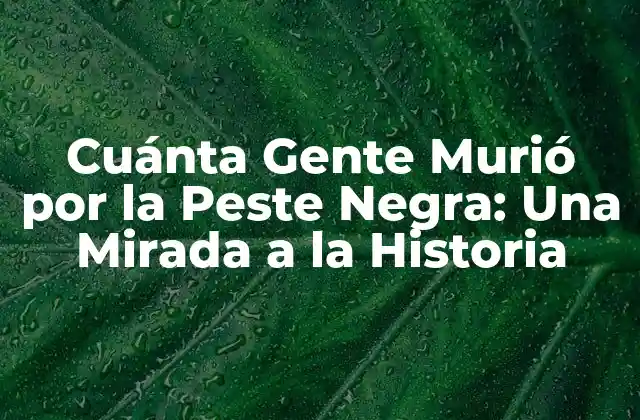 Cuánta Gente Murió por la Peste Negra: una Mirada a la Historia