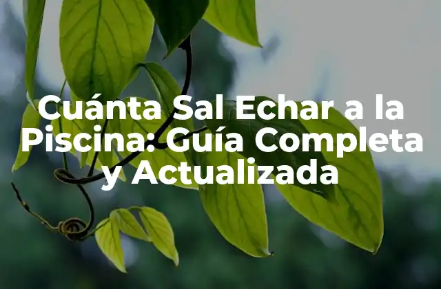 Cuánta Sal Echar a la Piscina: Guía Completa y Actualizada