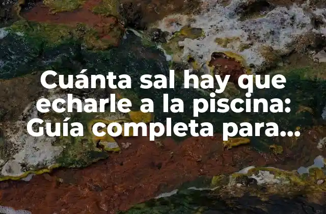 Cuánta Sal Hay que Echarle a la Piscina: Guía Completa para Mantener una Piscina Saludable