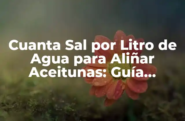 Cuanta Sal por Litro de Agua para Aliñar Aceitunas: Guía Completa