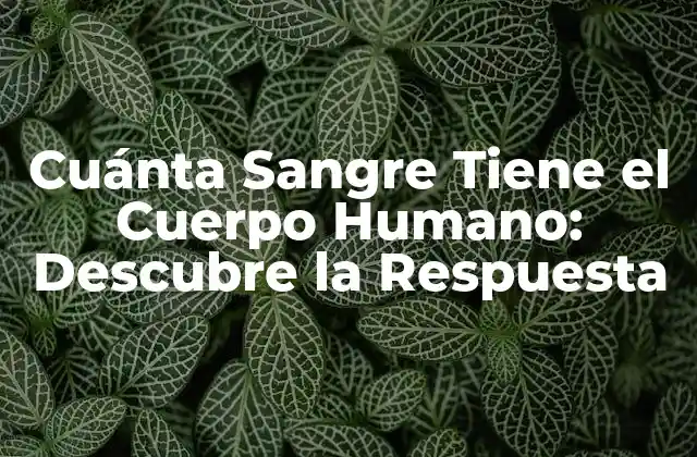 Cuánta Sangre Tiene el Cuerpo Humano: Descubre la Respuesta