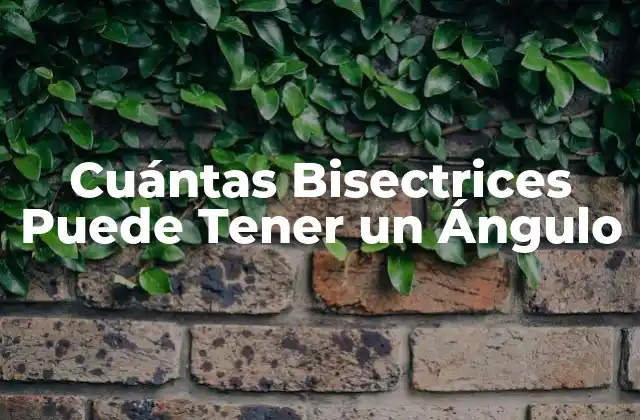 Cuántas Bisectrices Puede Tener un Ángulo