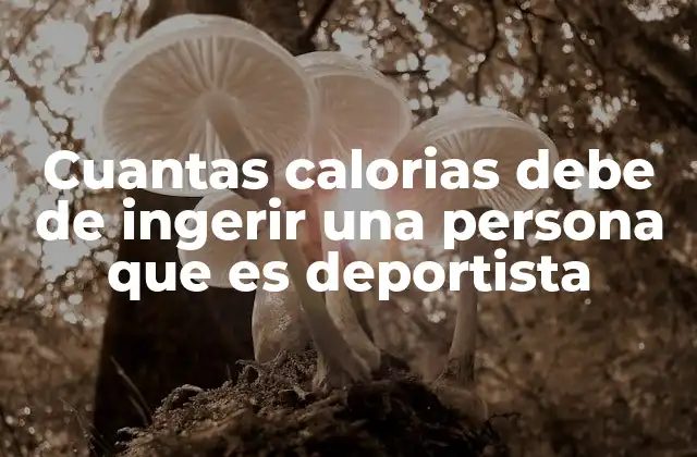 Cuantas Calorias Debe de Ingerir una Persona que es Deportista