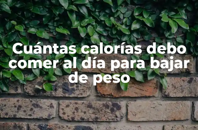 Cuántas Calorías Debo Comer Al Día para Bajar de Peso