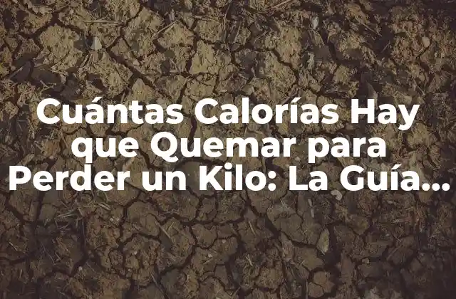 Cuántas Calorías Hay que Quemar para Perder un Kilo: la Guía Definitiva