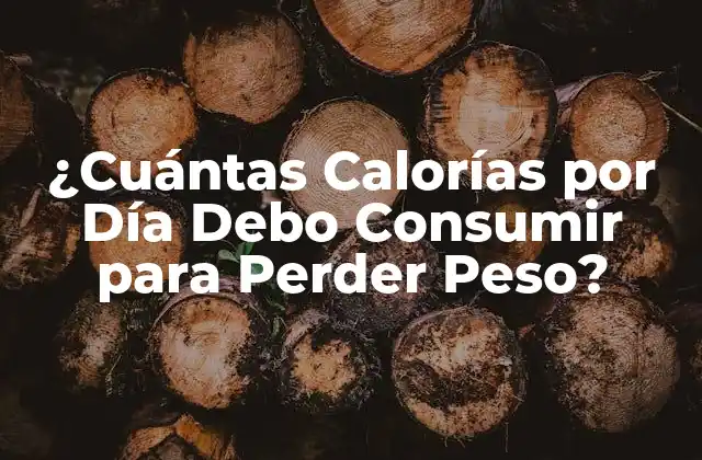 ¿cuántas Calorías por Día Debo Consumir para Perder Peso?