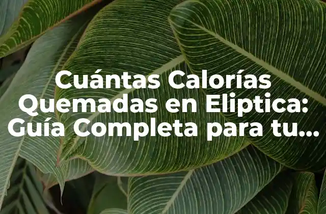 Cuántas Calorías Quemadas en Eliptica: Guía Completa para Tu Entrenamiento