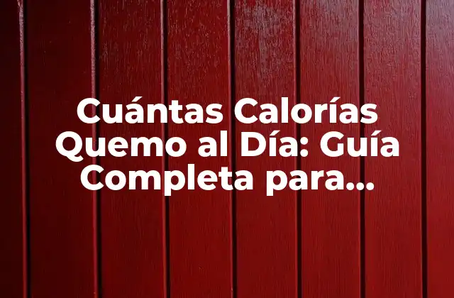 Cuántas Calorías Quemo Al Día: Guía Completa para Conocer Tu Metabolismo