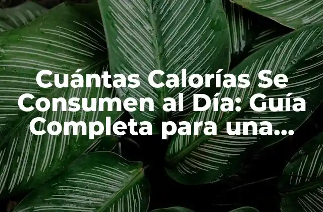 Cuántas Calorías Se Consumen Al Día: Guía Completa para una Alimentación Saludable