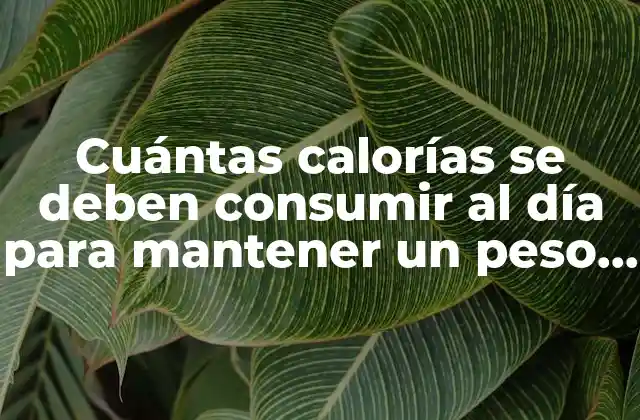 Cuántas Calorías Se Deben Consumir Al Día para Mantener un Peso Saludable