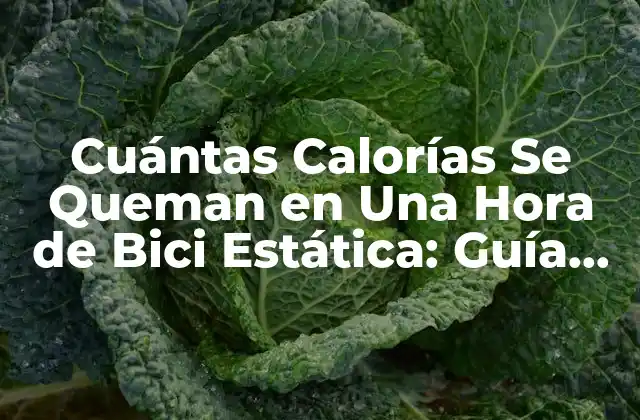 Cuántas Calorías Se Queman en una Hora de Bici Estática: Guía Completa