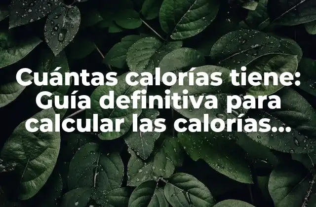 Cuántas Calorías Tiene: Guía Definitiva para Calcular las Calorías Diarias
