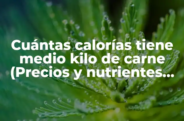 Cuántas Calorías Tiene Medio Kilo de Carne (precios y Nutrientes Detallados)