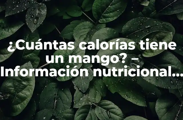 ¿cuántas Calorías Tiene un Mango? – Información Nutricional y Beneficios para la Salud