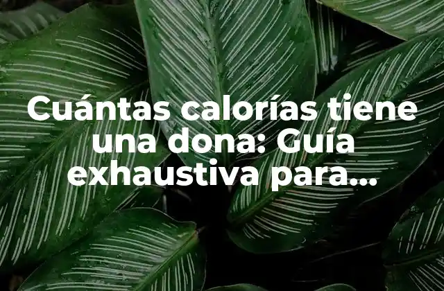 Cuántas Calorías Tiene una Dona: Guía Exhaustiva para Entender el Contenido Calórico de las Donas