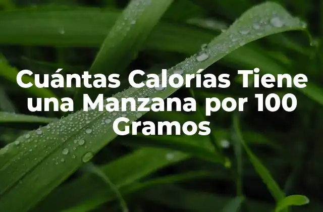 Cuántas Calorías Tiene una Manzana por 100 Gramos