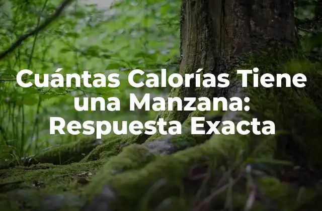 Cuántas Calorías Tiene una Manzana: Respuesta Exacta