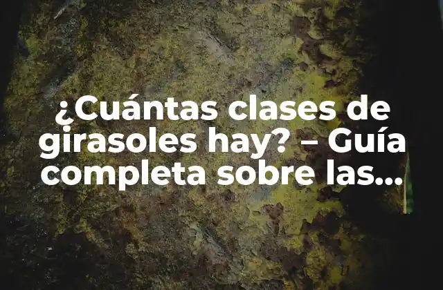 ¿cuántas Clases de Girasoles Hay? – Guía Completa sobre las Variedades de Girasoles