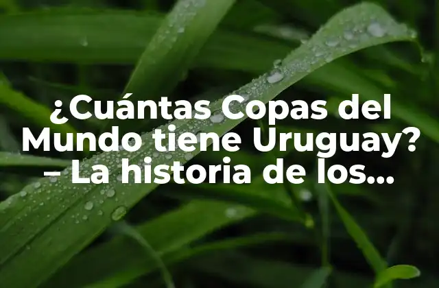¿cuántas Copas Del Mundo Tiene Uruguay? – la Historia de los Celestes