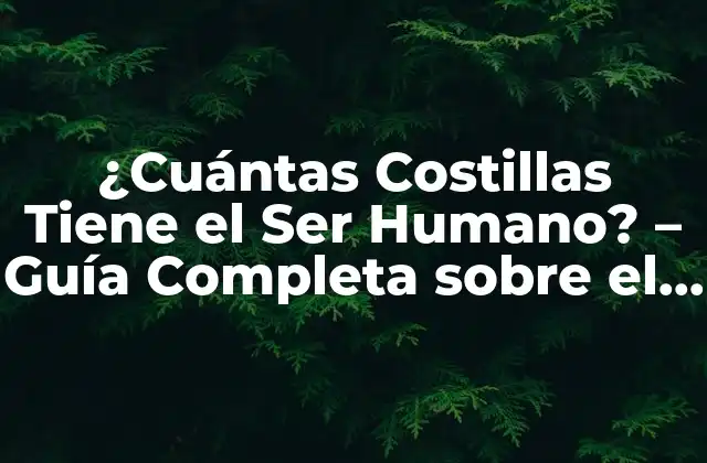 ¿cuántas Costillas Tiene el Ser Humano? – Guía Completa sobre el Número de Costillas