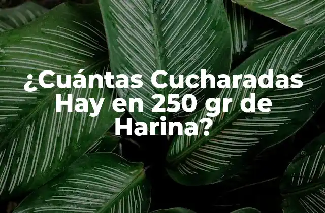 ¿cuántas Cucharadas Hay en 250 Gr de Harina?