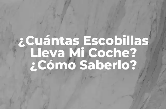 ¿cuántas Escobillas Lleva Mi Coche? ¿cómo Saberlo?