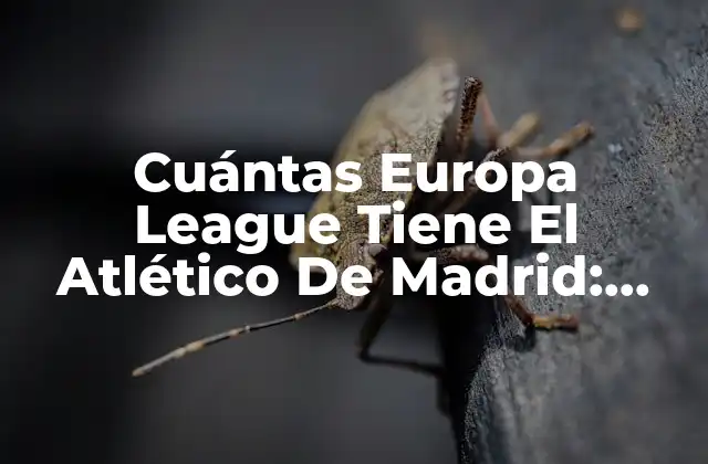 ¿Cuándo Ganó el Atlético de Madrid su Primera Europa League?