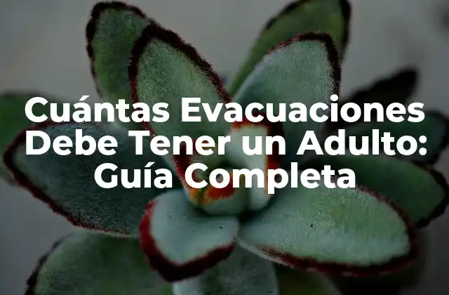 Cuántas Evacuaciones Debe Tener un Adulto: Guía Completa