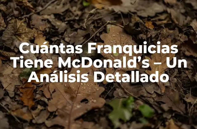Cuántas Franquicias Tiene Mcdonald’s – un Análisis Detallado