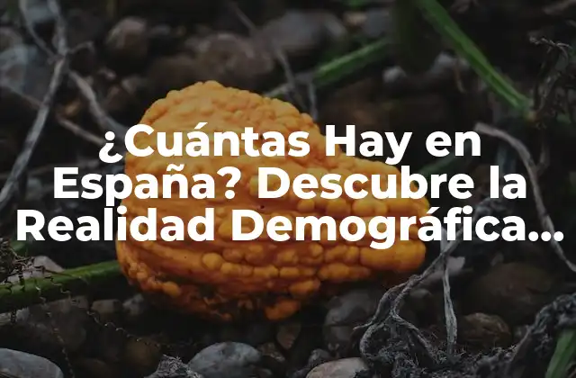 ¿cuántas Hay en España? Descubre la Realidad Demográfica Del País