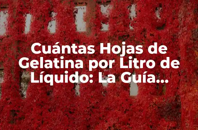 Cuántas Hojas de Gelatina por Litro de Líquido: la Guía Definitiva