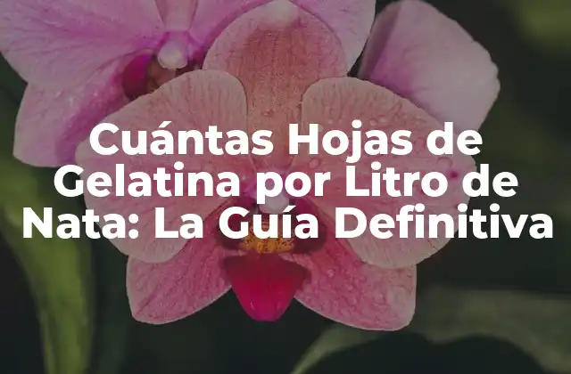 Cuántas Hojas de Gelatina por Litro de Nata: la Guía Definitiva