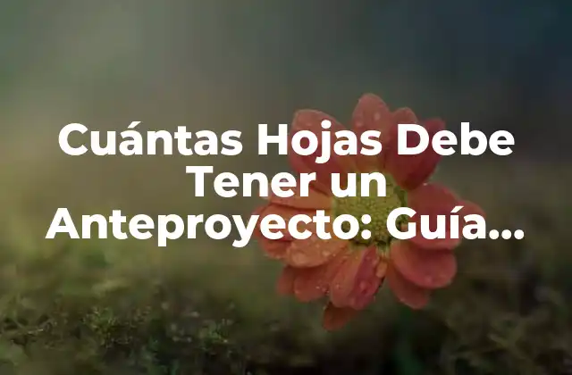 Cuántas Hojas Debe Tener un Anteproyecto: Guía Detallada