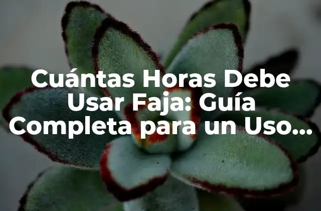 Cuántas Horas Debe Usar Faja: Guía Completa para un Uso Seguro y Efectivo