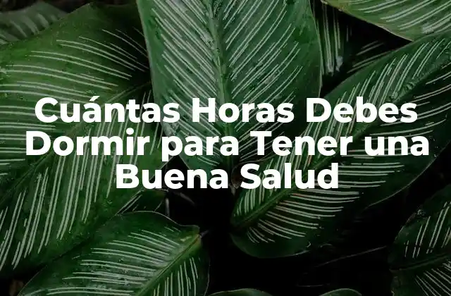 Cuántas Horas Debes Dormir para Tener una Buena Salud 2 ¿Cuántas Horas de Sueño Necesitamos Realmente?