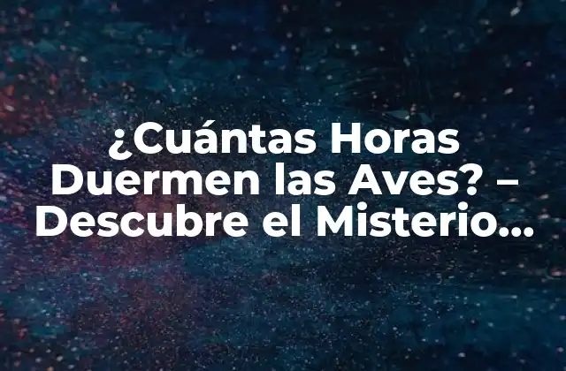 ¿cuántas Horas Duermen las Aves? – Descubre el Misterio Del Sueño Aviar