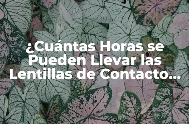 ¿cuántas Horas Se Pueden Llevar las Lentillas de Contacto Seguras?